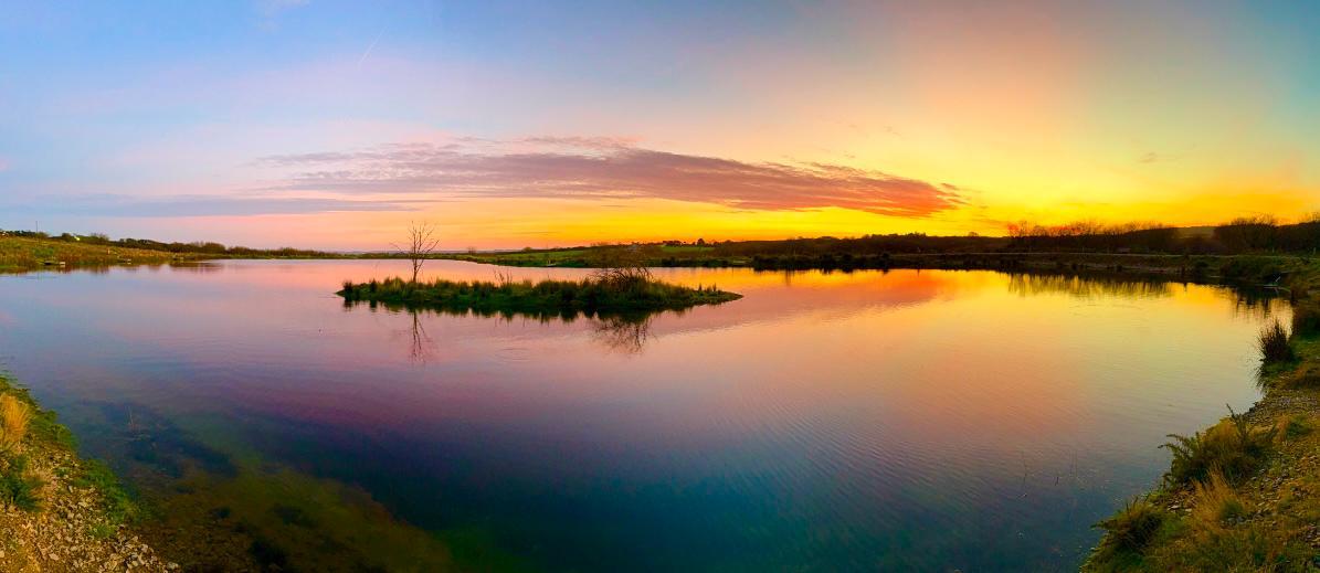 Wide view of the ponds at Foxhill Trout Fishery