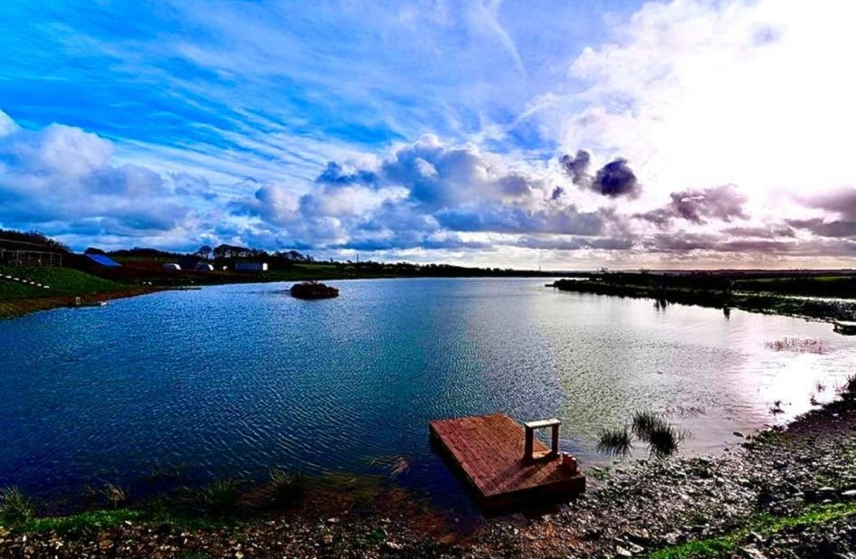 Wide view of the ponds at Foxhill Fishery